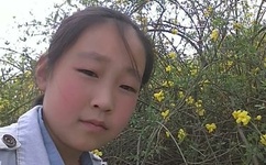 吕总暴力办张津瑜MV视频